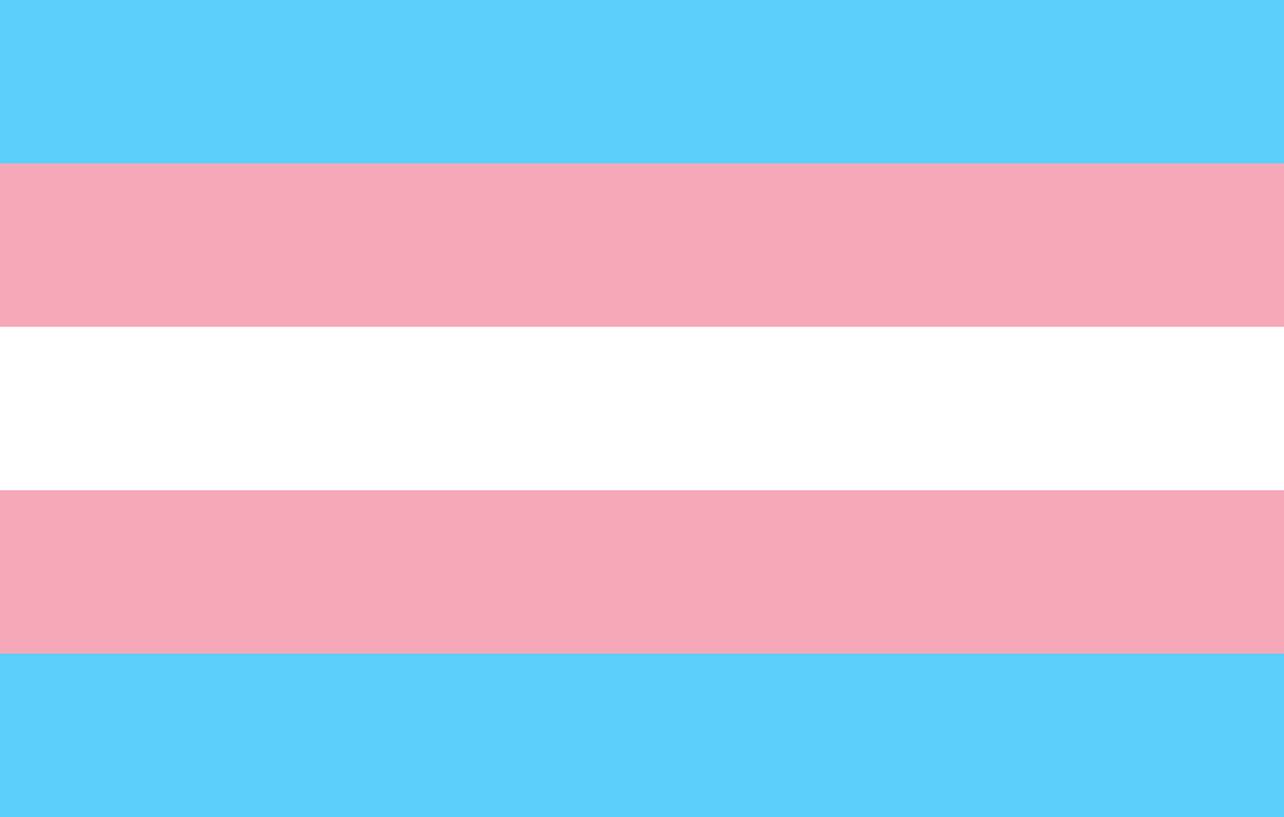 Leia mais sobre o artigo <strong>29 de janeiro  – Dia da Visibilidade Trans  </strong>